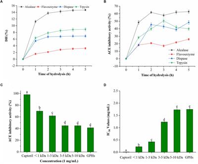 Three Novel ACE Inhibitory Peptides Isolated From Ginkgo biloba Seeds: Purification, Inhibitory Kinetic and Mechanism